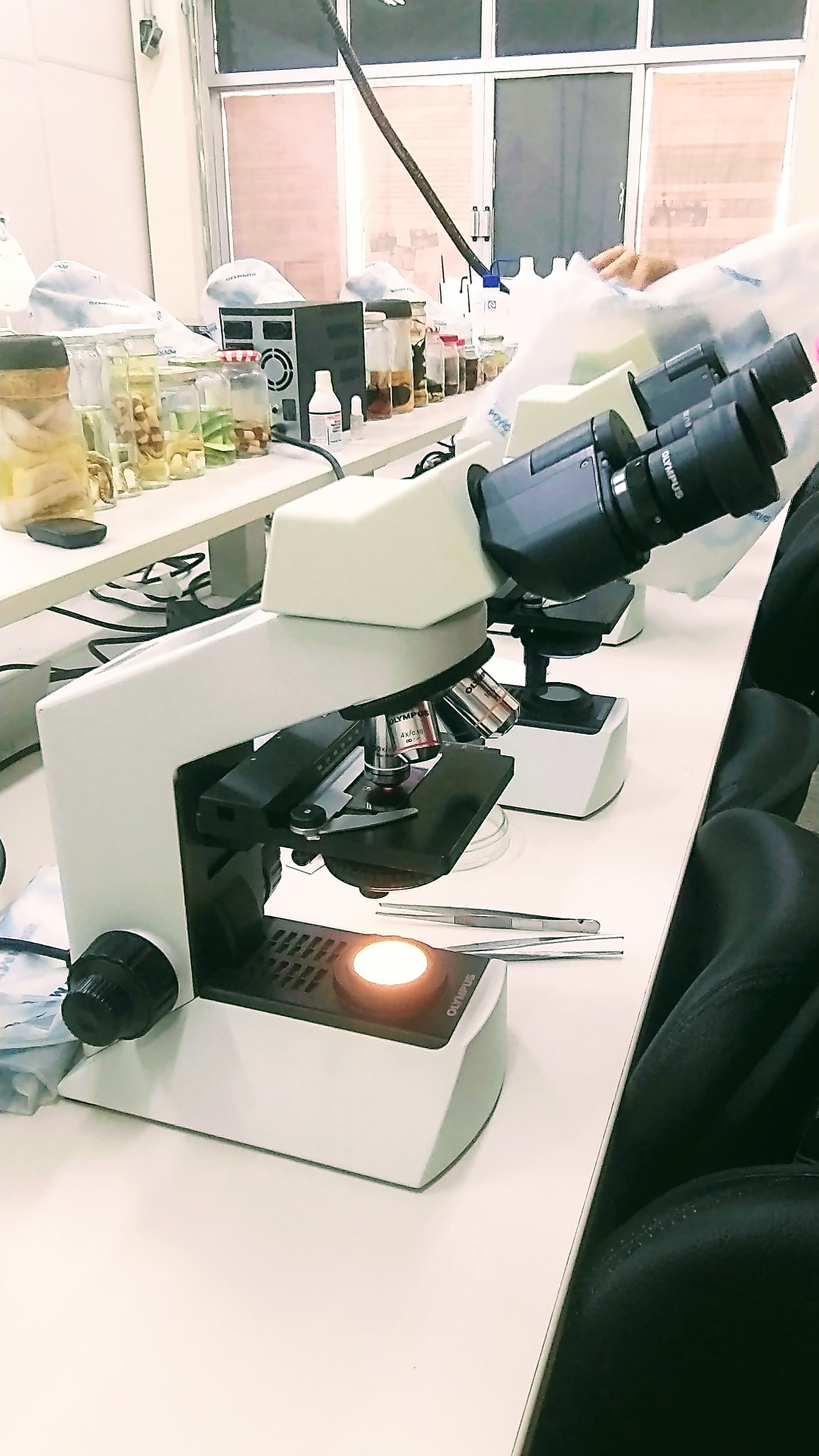 Microscópio ótico