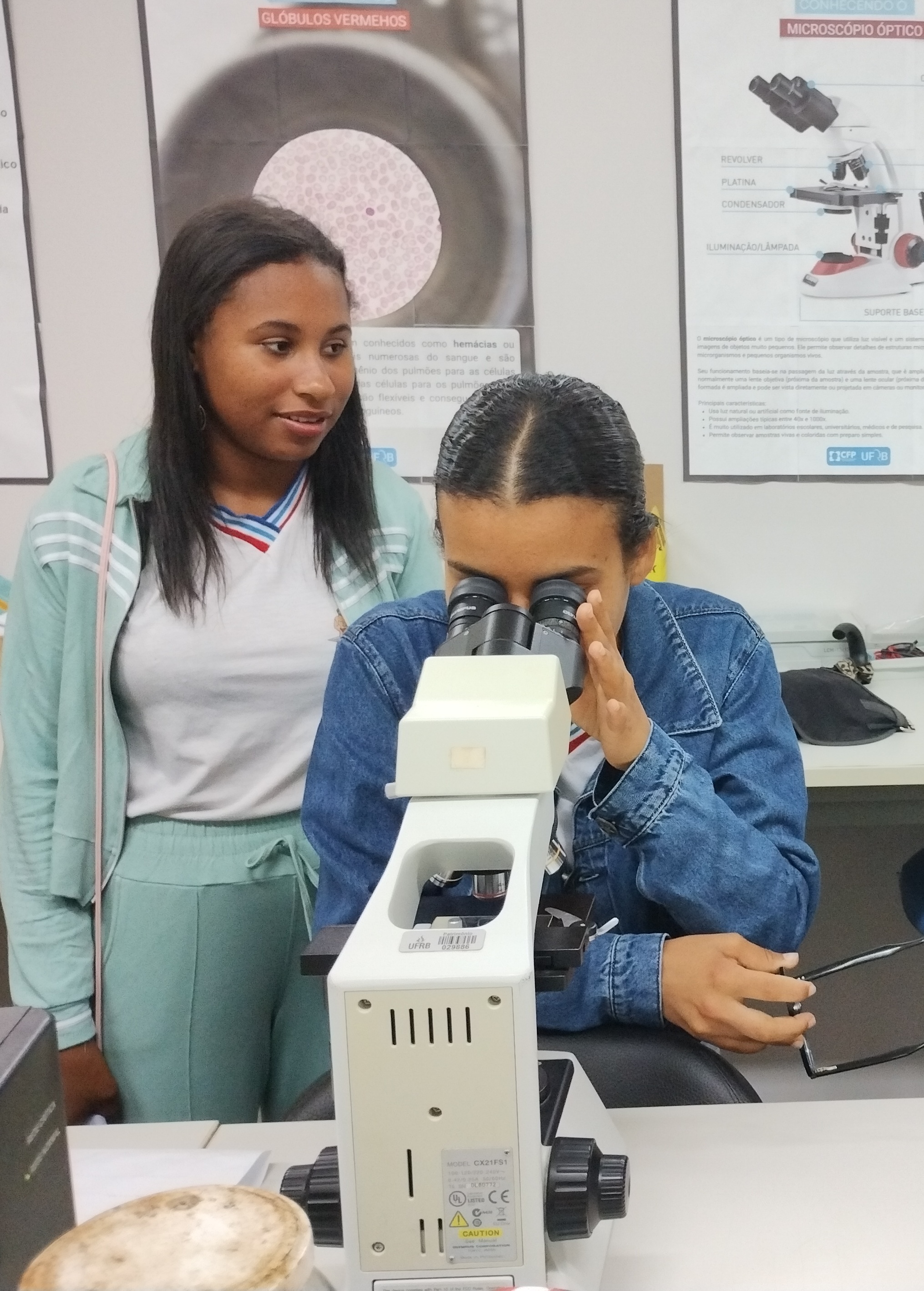 imagem sem descrição.