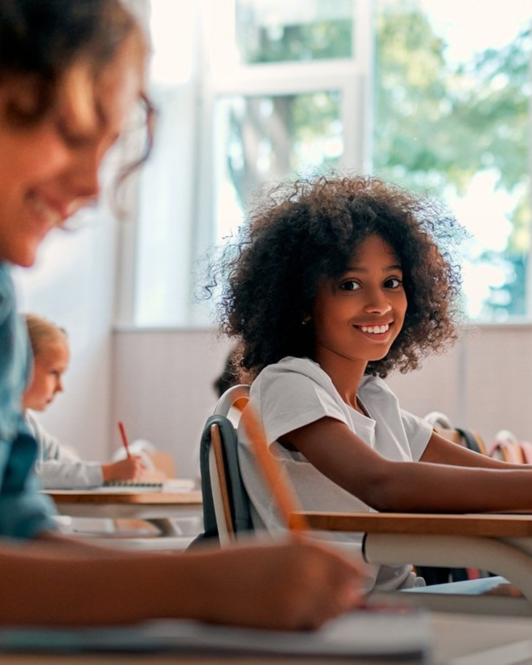 imagem sem descrição.