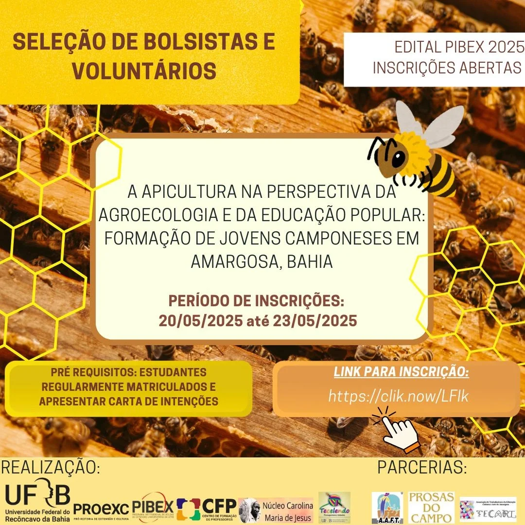 imagem sem descrição.