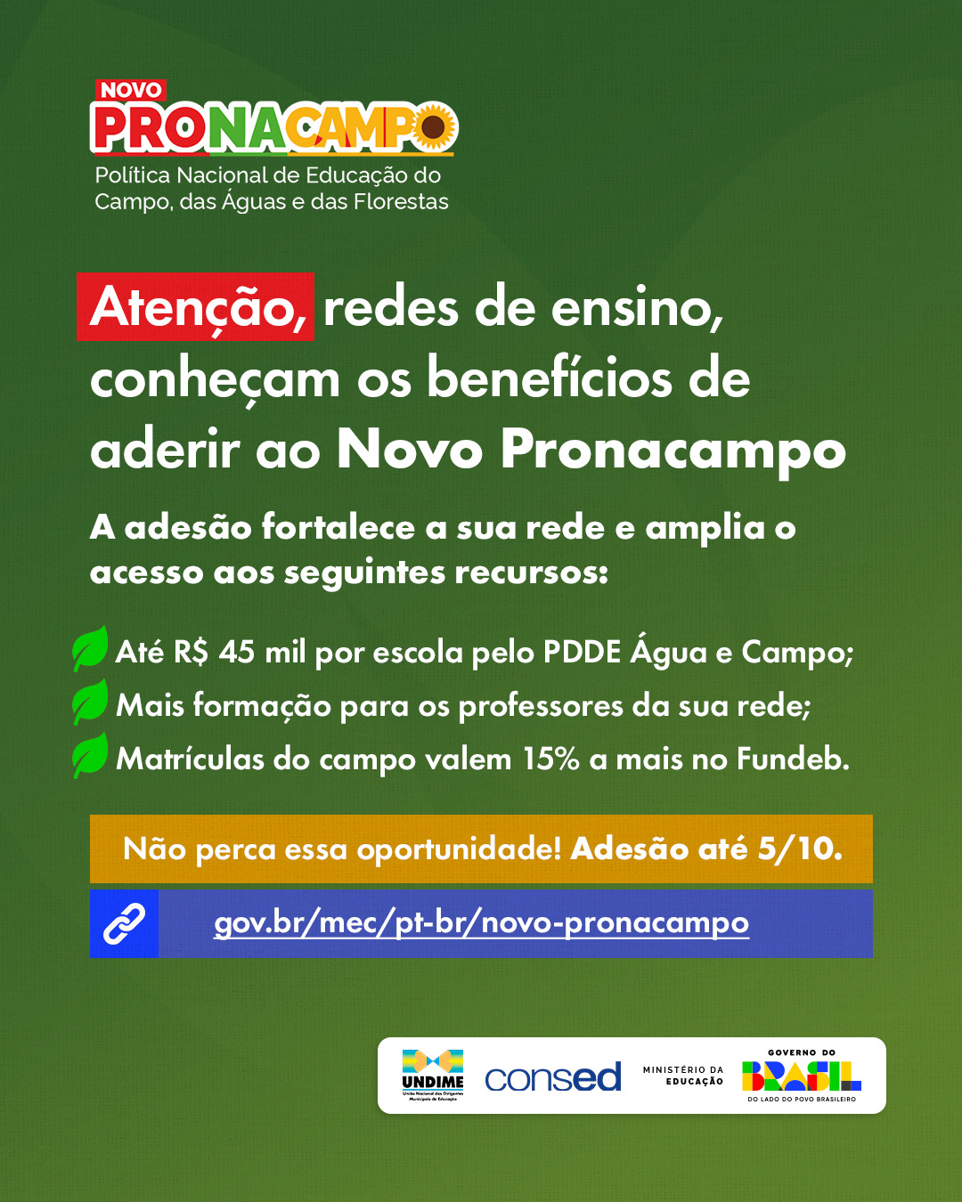 imagem sem descrição.