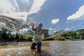 imagem sem descrição.