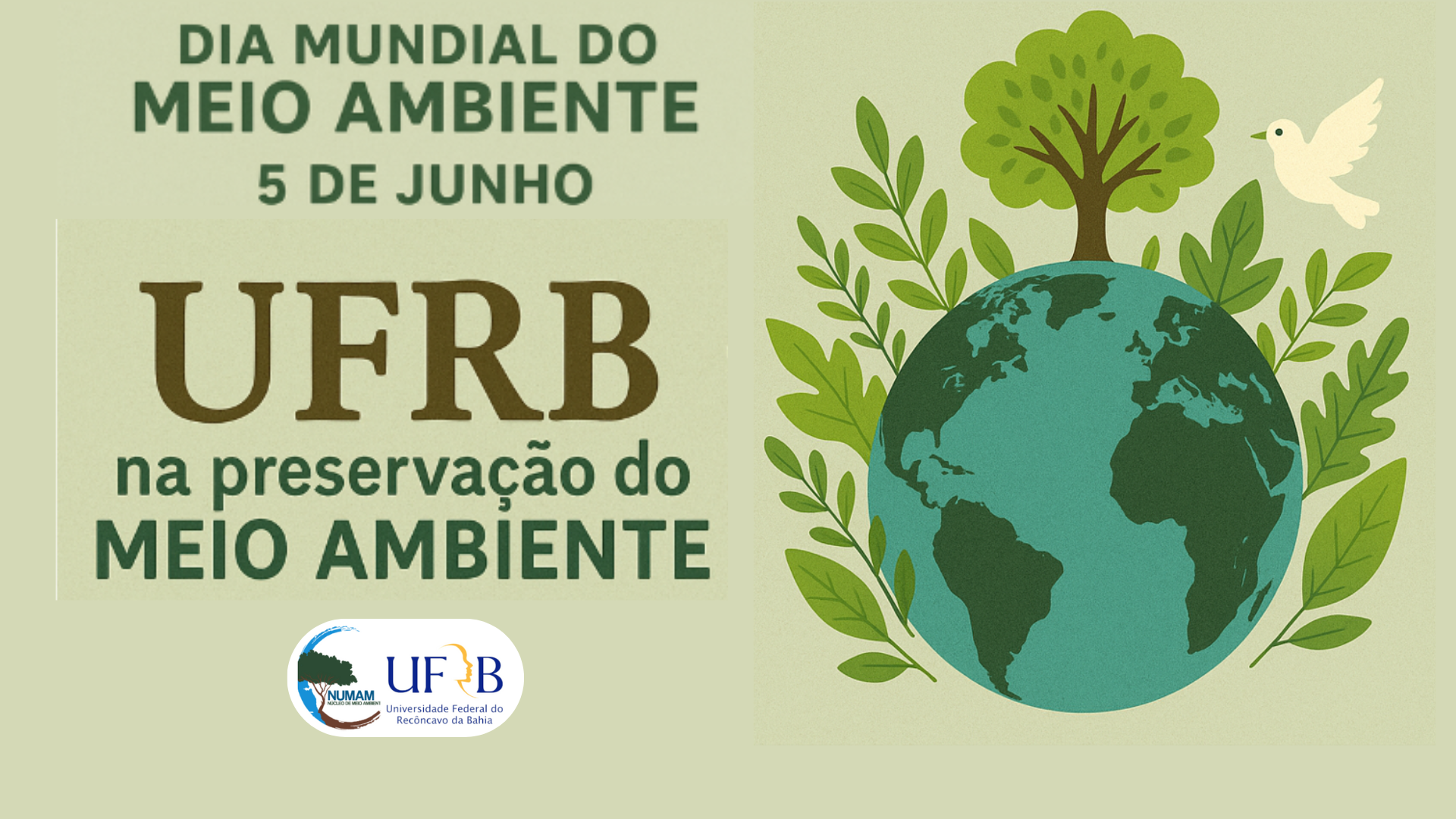 Dia Mundial do Meio Ambiente 