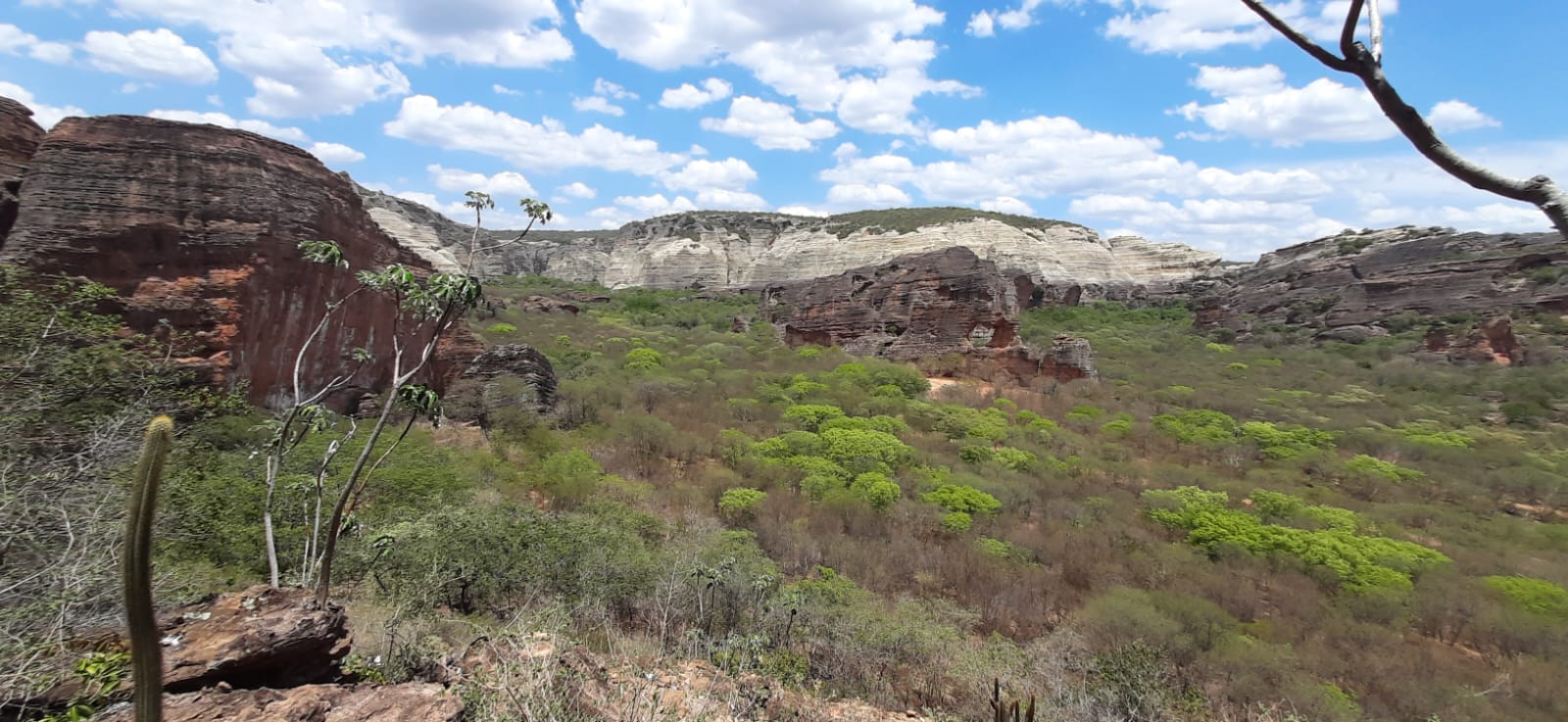 Fotos de atividades de Campo