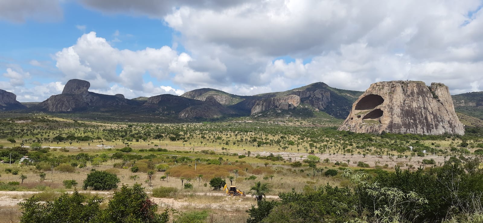 Fotos de atividades de Campo