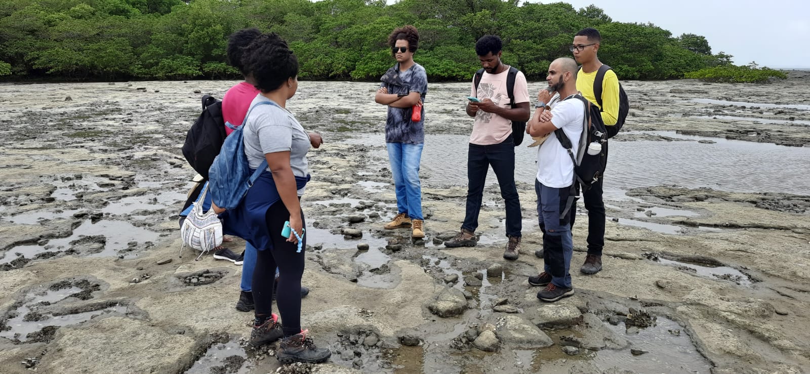 Fotos de atividades de Campo