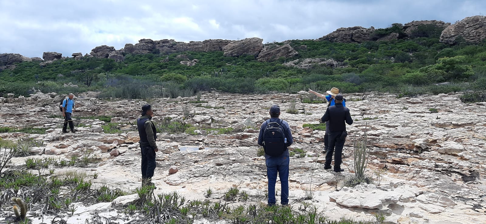 Fotos de atividades de Campo