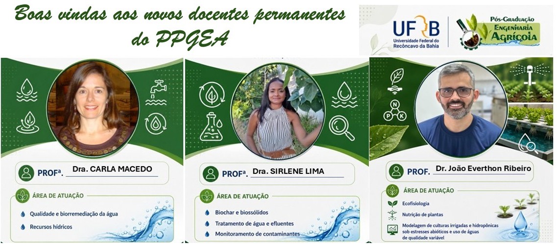 novos docentes