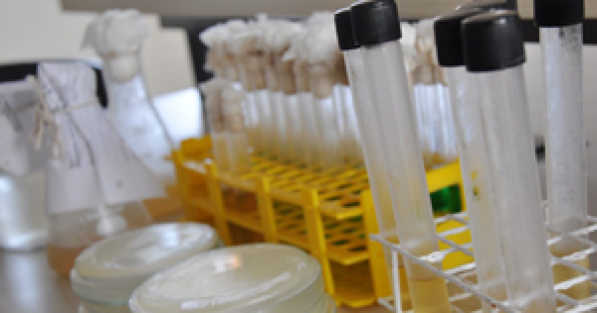 Laboratório da UFRB presta serviço de análise de alimentos e de água