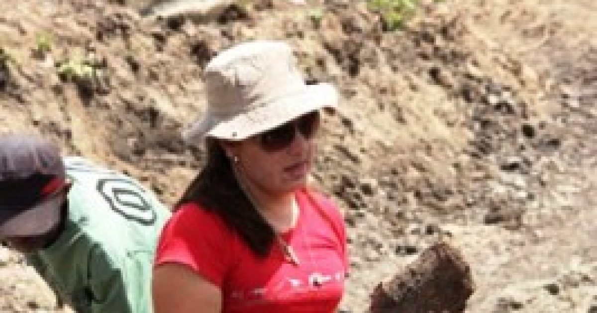 Equipe de paleontologia da UFRB retira fósseis de animais em cidade baiana