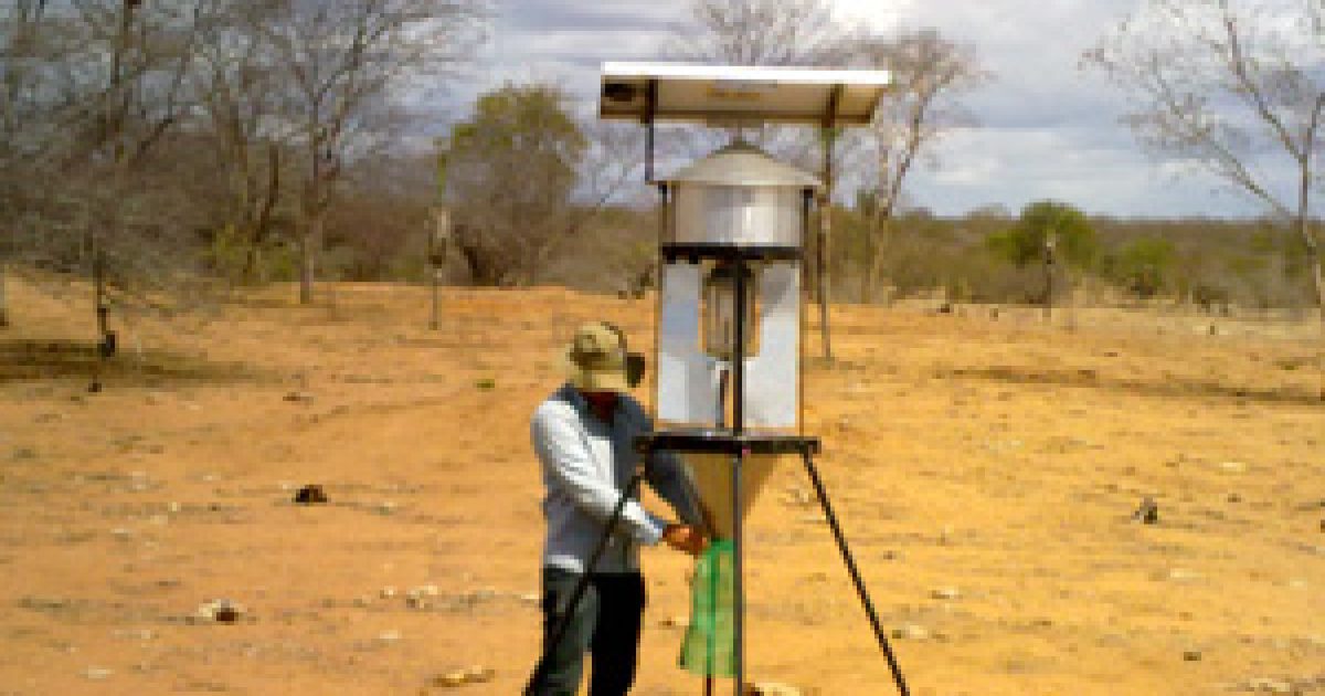 Professor da UFRB desenvolve armadilha solar autônoma para controle da Helicoverpa