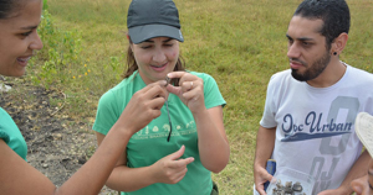 Novas espécies são identificadas pela UFRB em buscas paleontológicas na FIOL