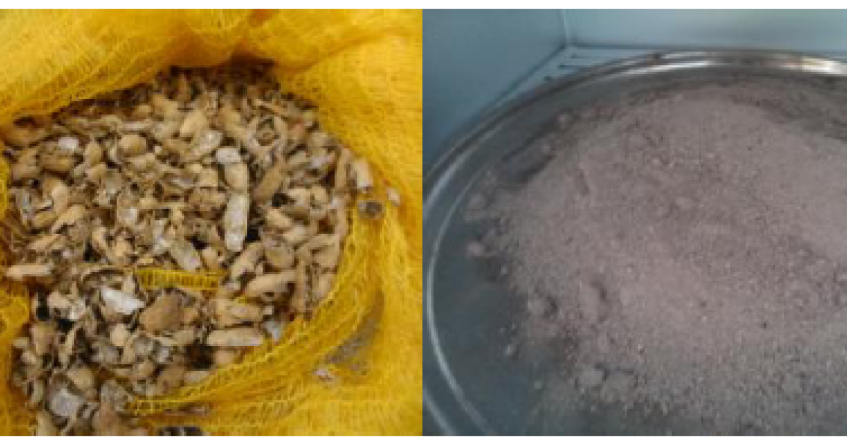 Pesquisa da UFRB desenvolve materiais de construção a partir de resíduos