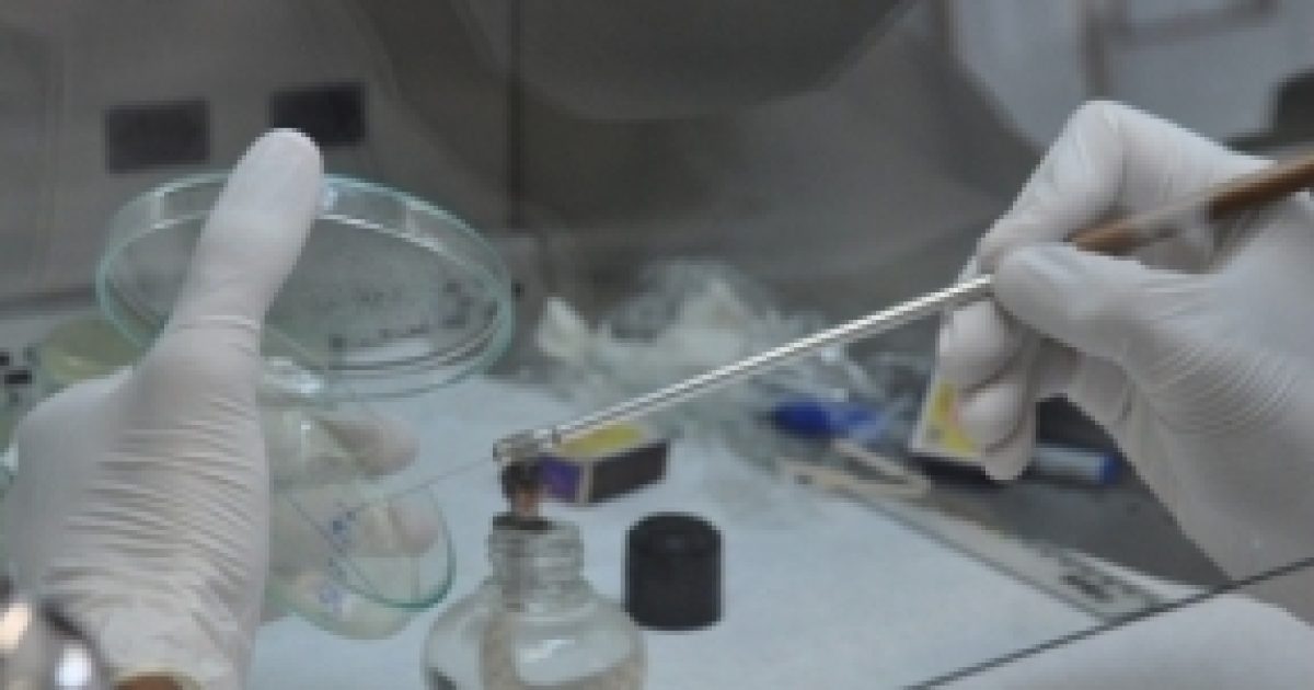 Parceria científica entre UFRB e UFMG desenvolve novo tratamento das leishmanioses