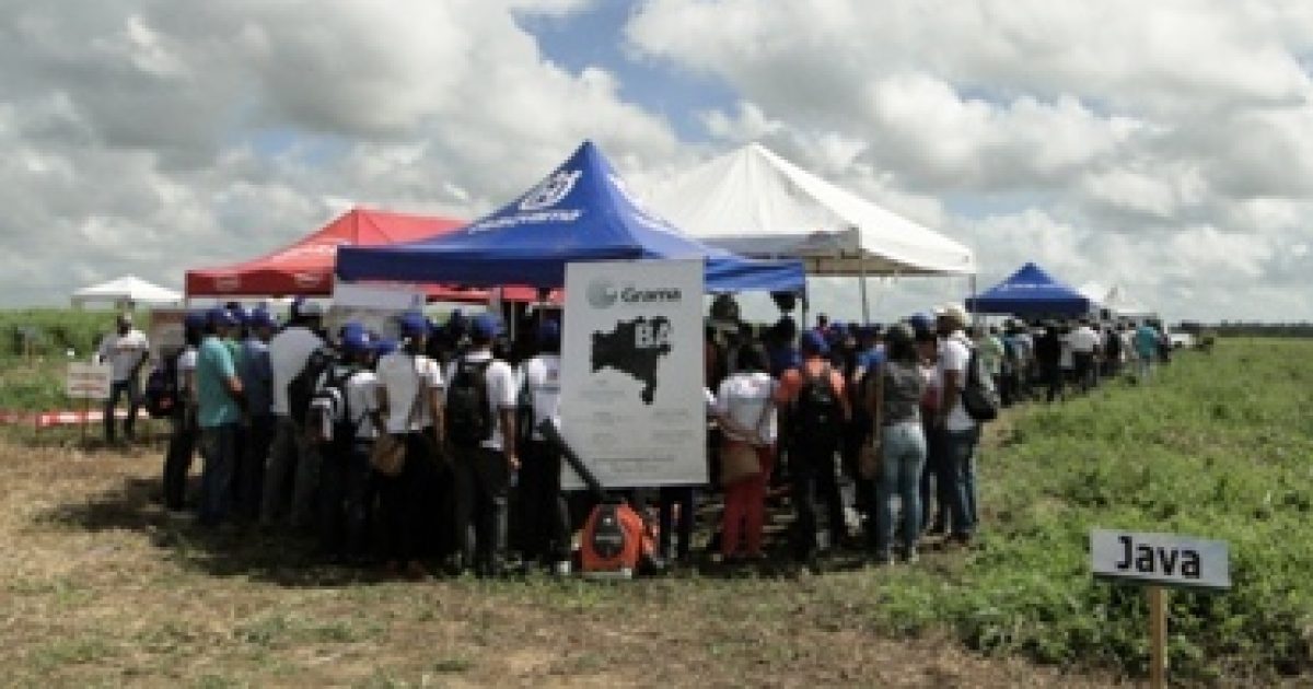 UFRB realiza 1º Dia de Campo do Recôncavo da Bahia