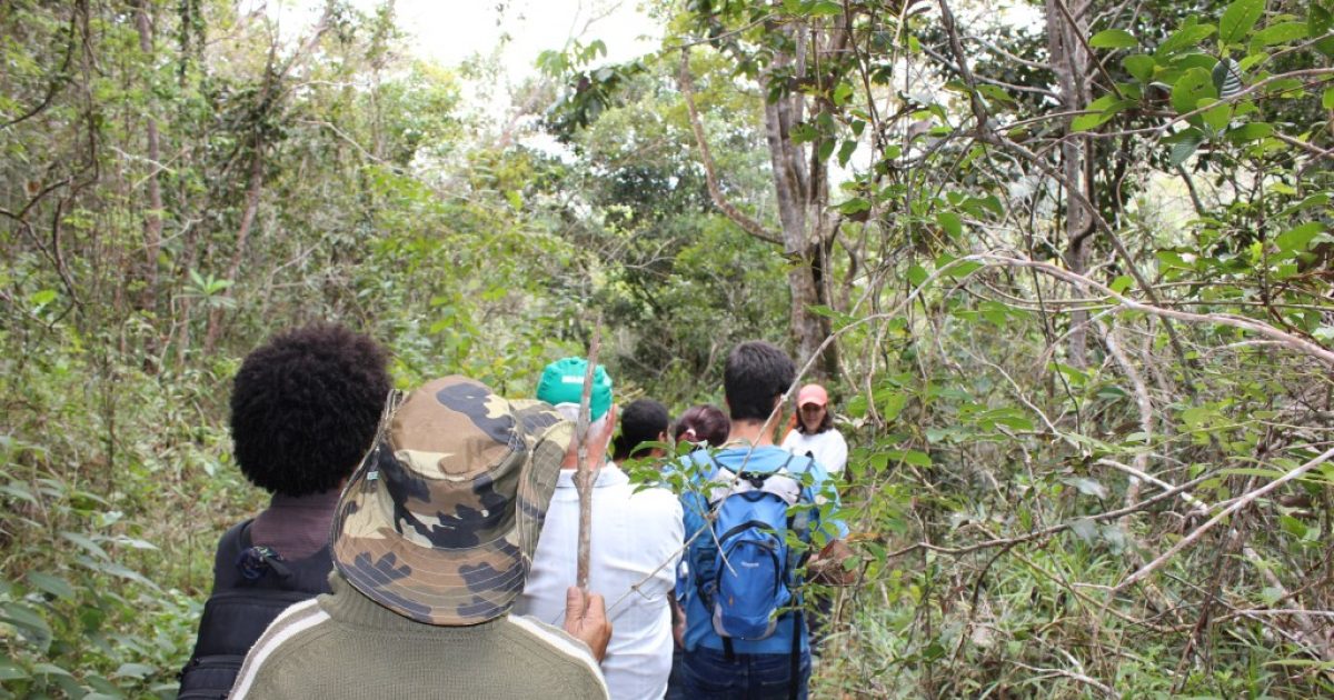 Trilha na Serra da Jiboia sensibiliza para a necessidade de conservação da área