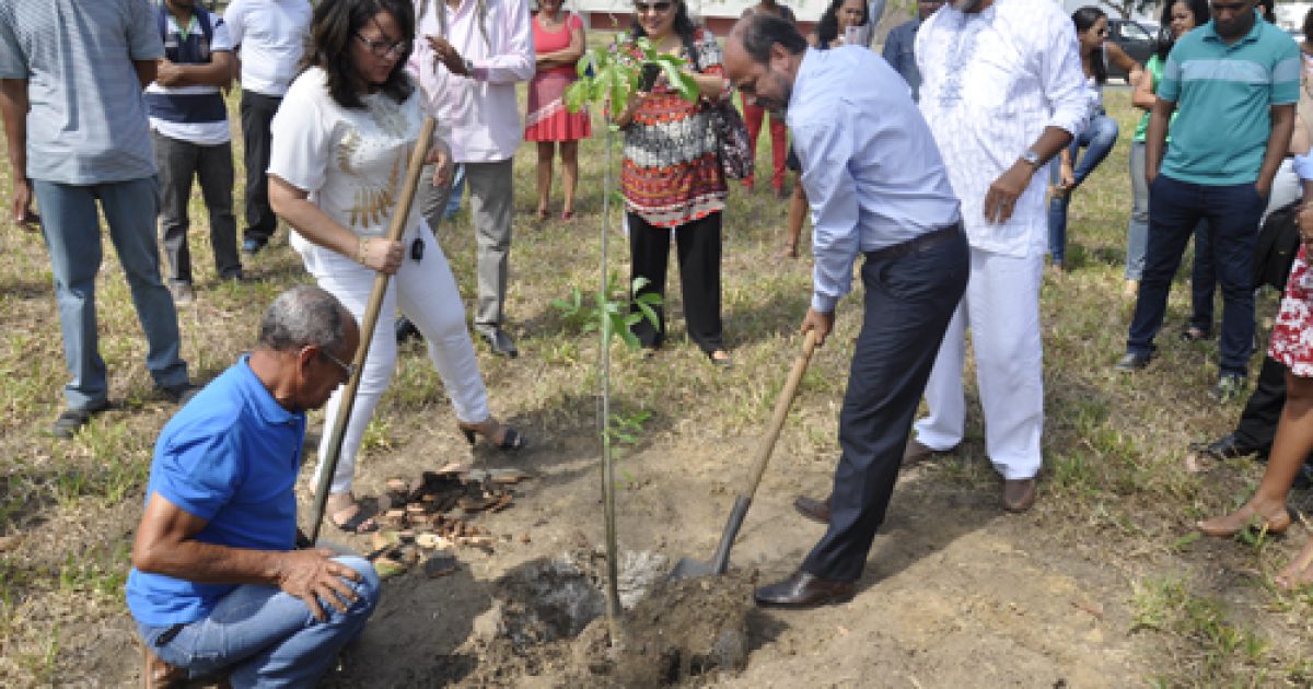 Apresentações culturais, palestras e plantio marcam Fórum 20 de Novembro em Cruz