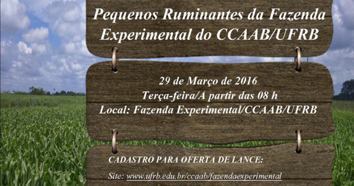 UFRB promove 4º Leilão de Bovinos e Pequenos Ruminantes