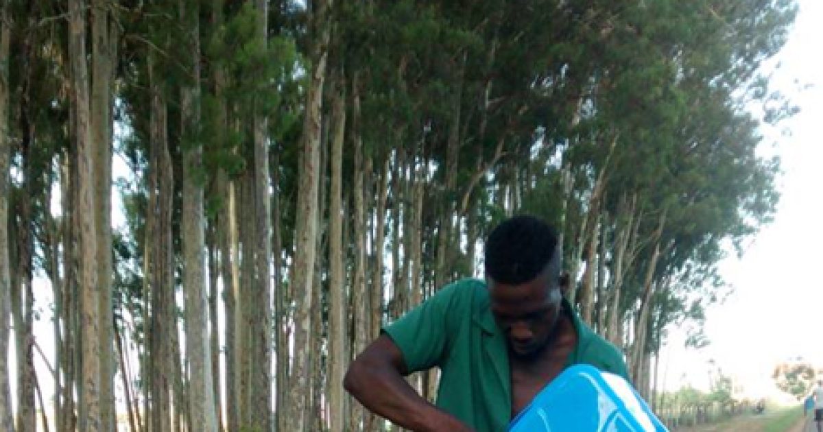 UFRB instala coletores de resíduos nas vias de acesso ao campus Cruz das Almas