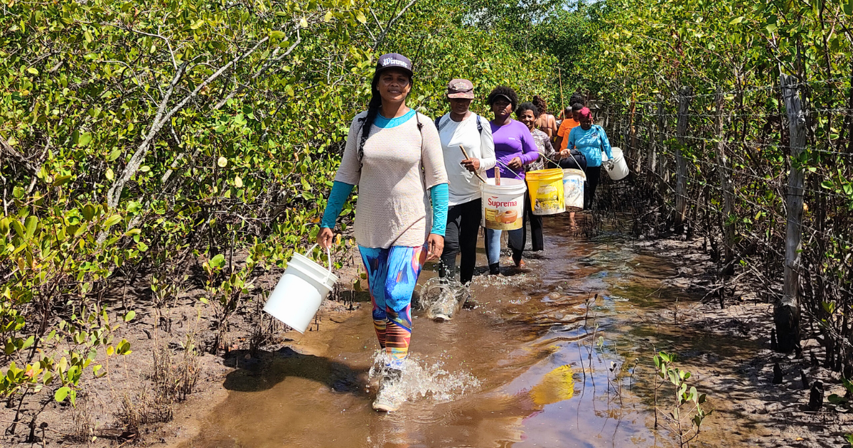 UFRB seleciona bolsistas para Projeto Kayala de apoio à pesca artesanal feminina no Recôncavo