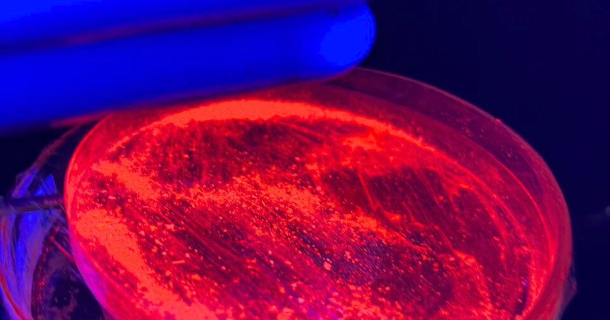 Pesquisas da UFRB com Terras Raras aliam sustentabilidade e inovação tecnológica