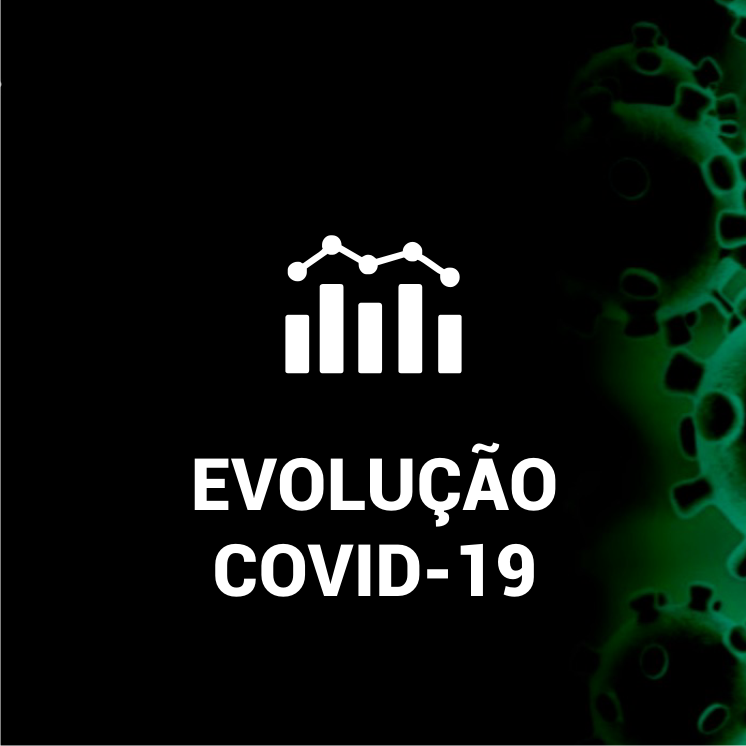 evolucao