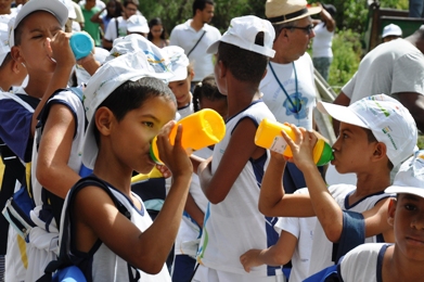 imagem sem descrição.