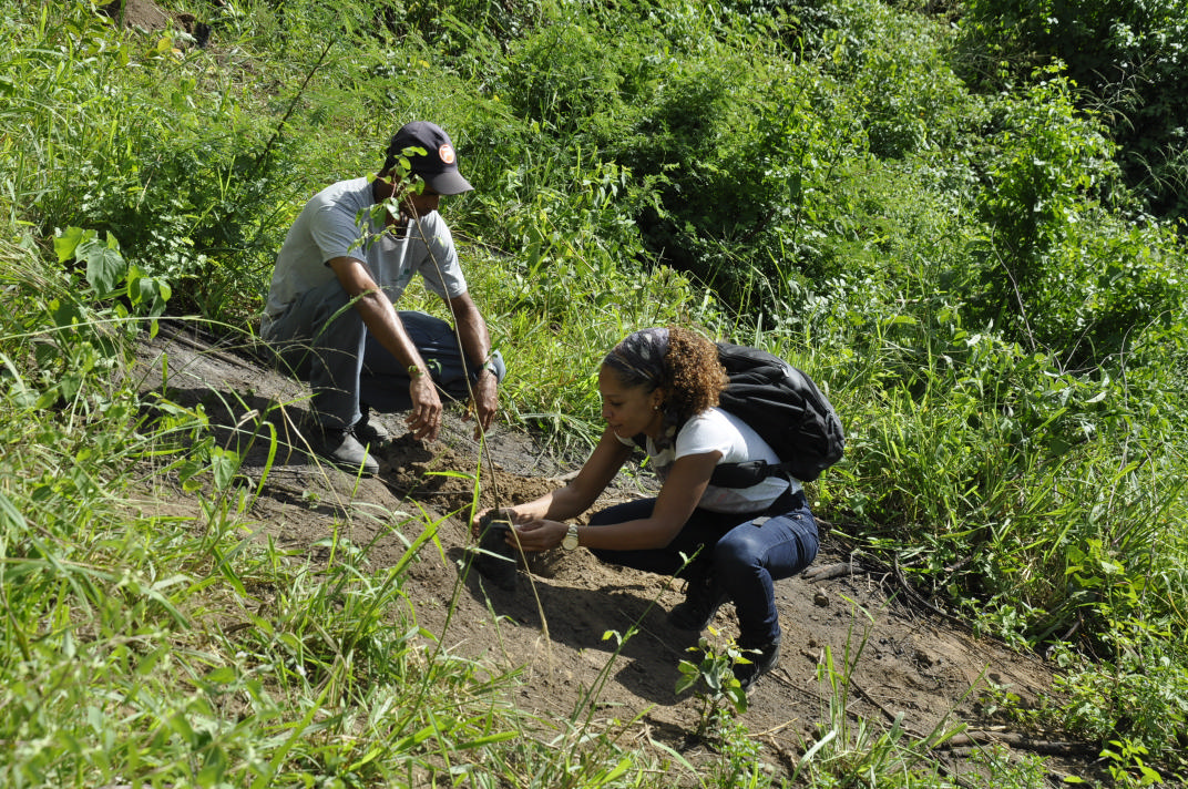 SIPEF realiza ação de plantio em comemoração a semana do meio ambiente