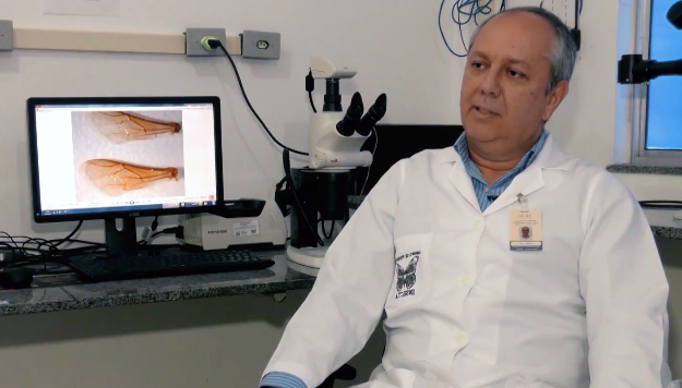 imagem sem descrição.