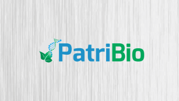 imagem sem descrição.