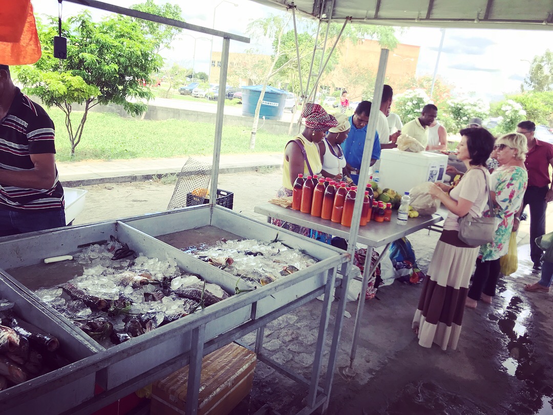 imagem sem descrição.