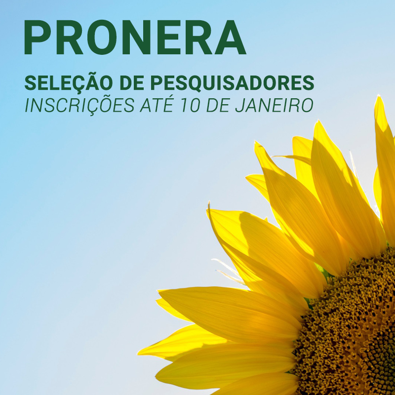 imagem sem descrição.