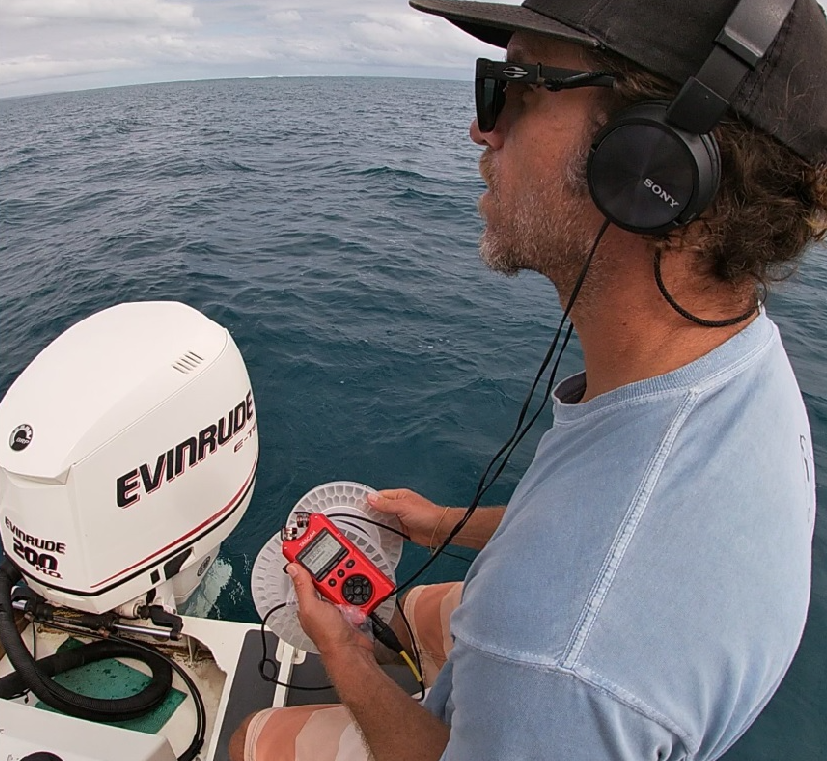 imagem sem descrição.