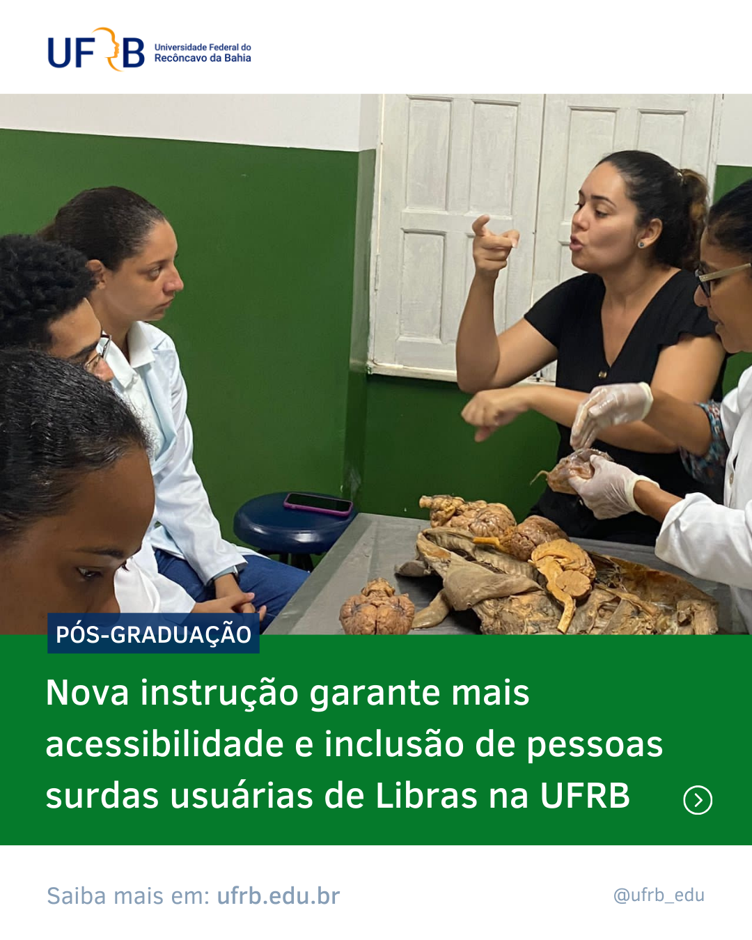 imagem sem descrição.