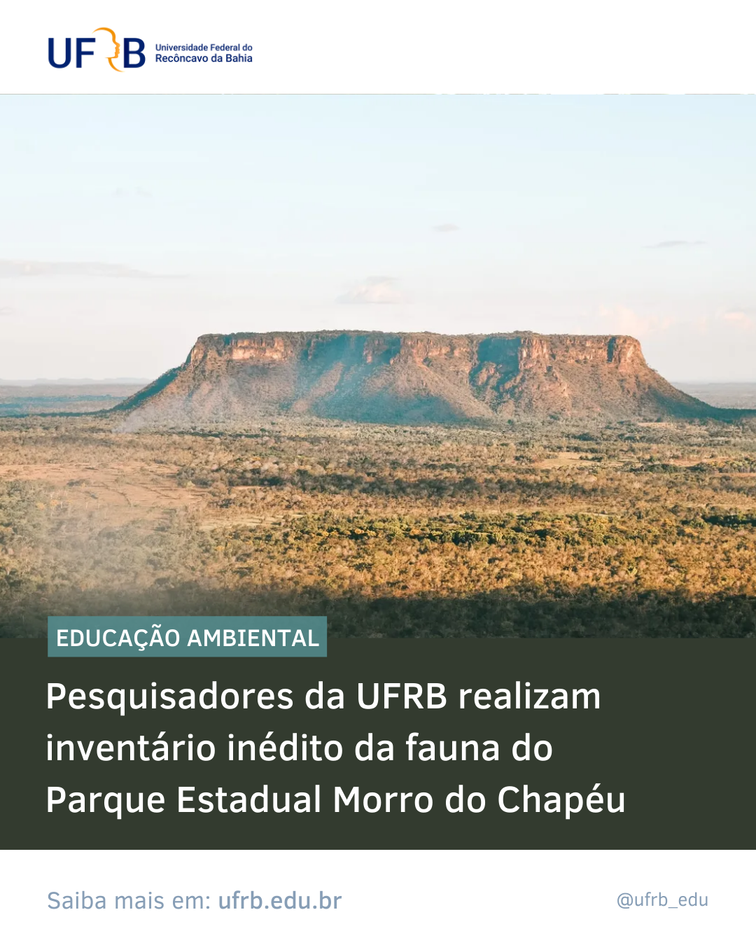 imagem sem descrição.