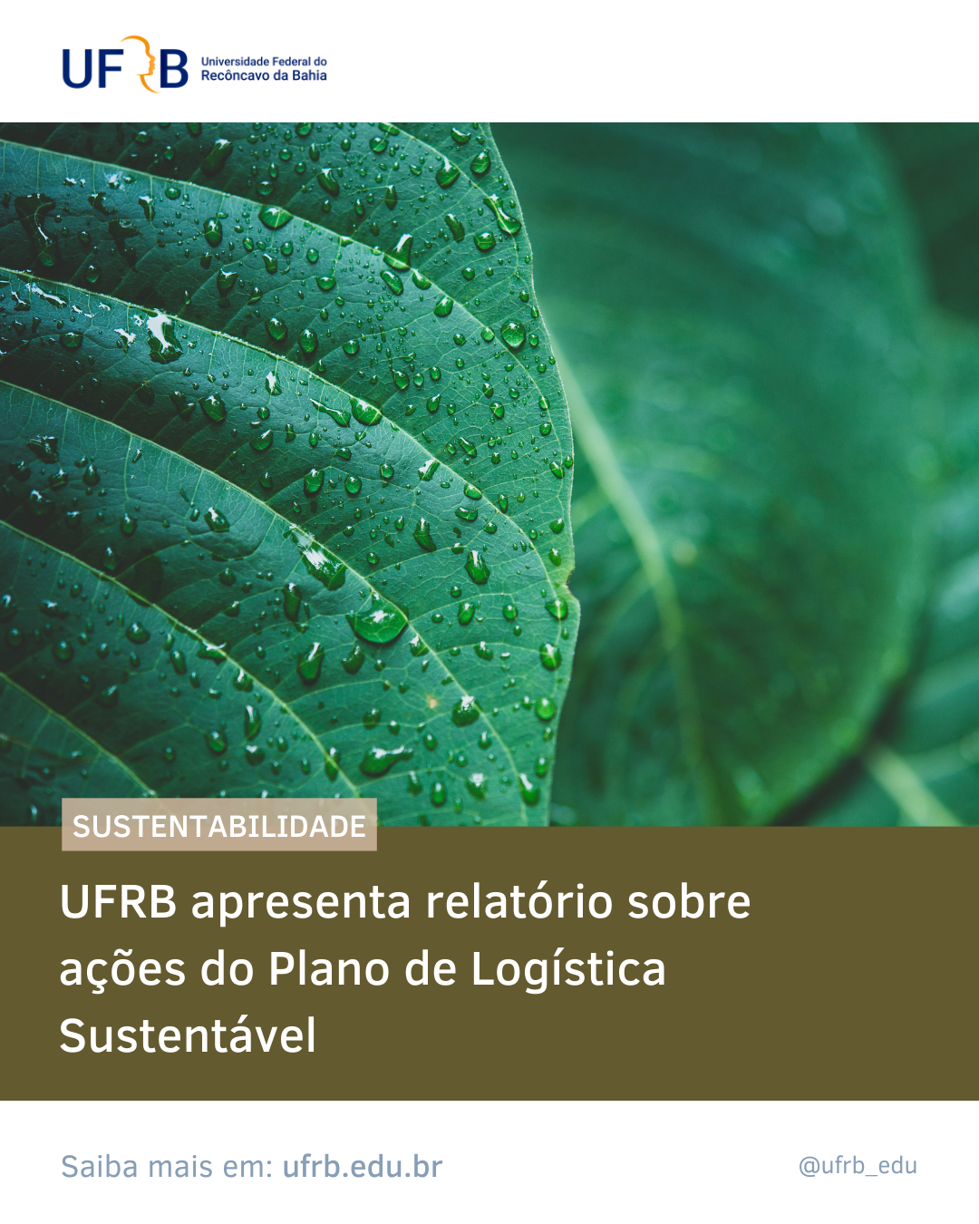 imagem sem descrição.