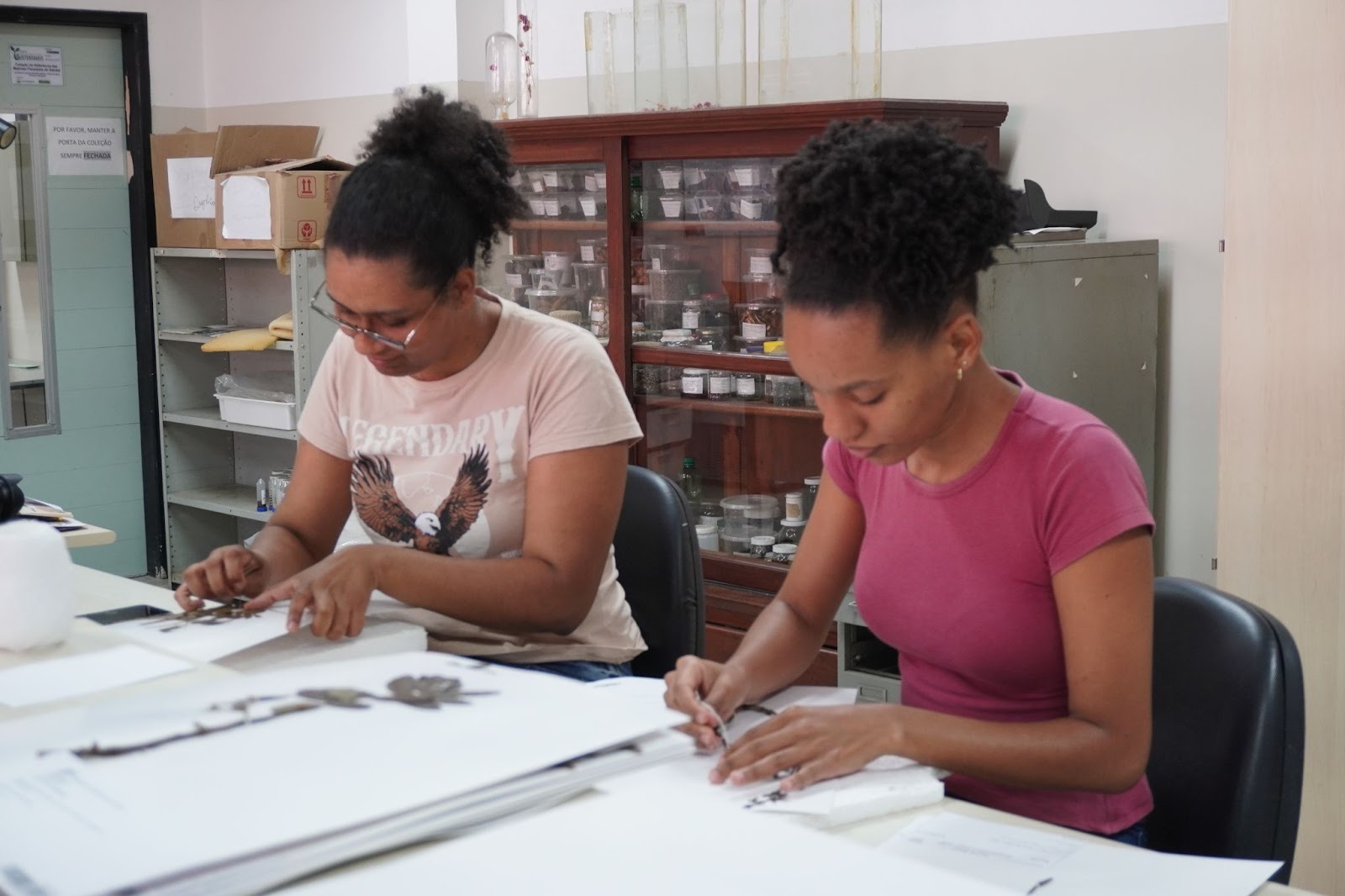 imagem sem descrição.