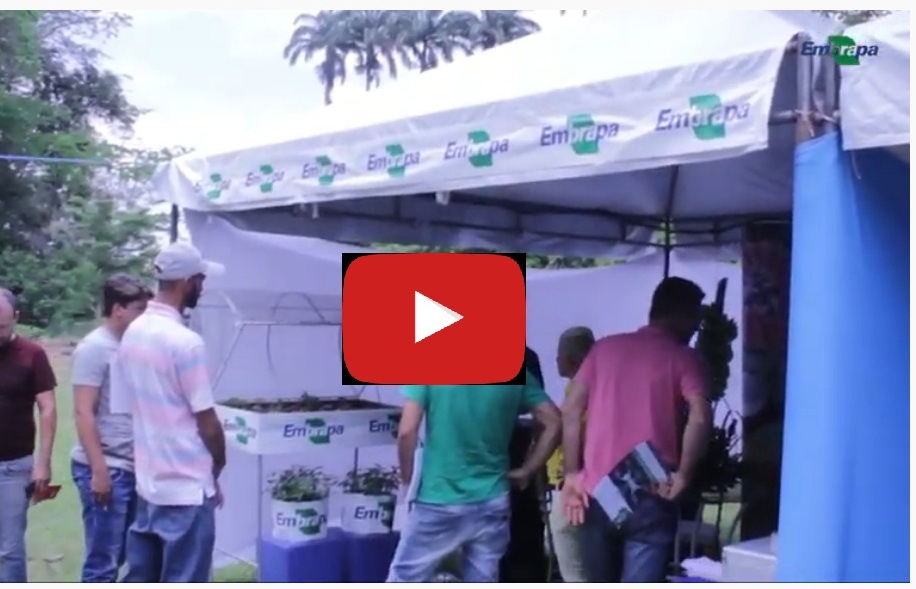 V curso frutorganica embrapa cruz