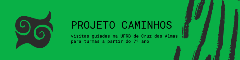 capa site caminhos