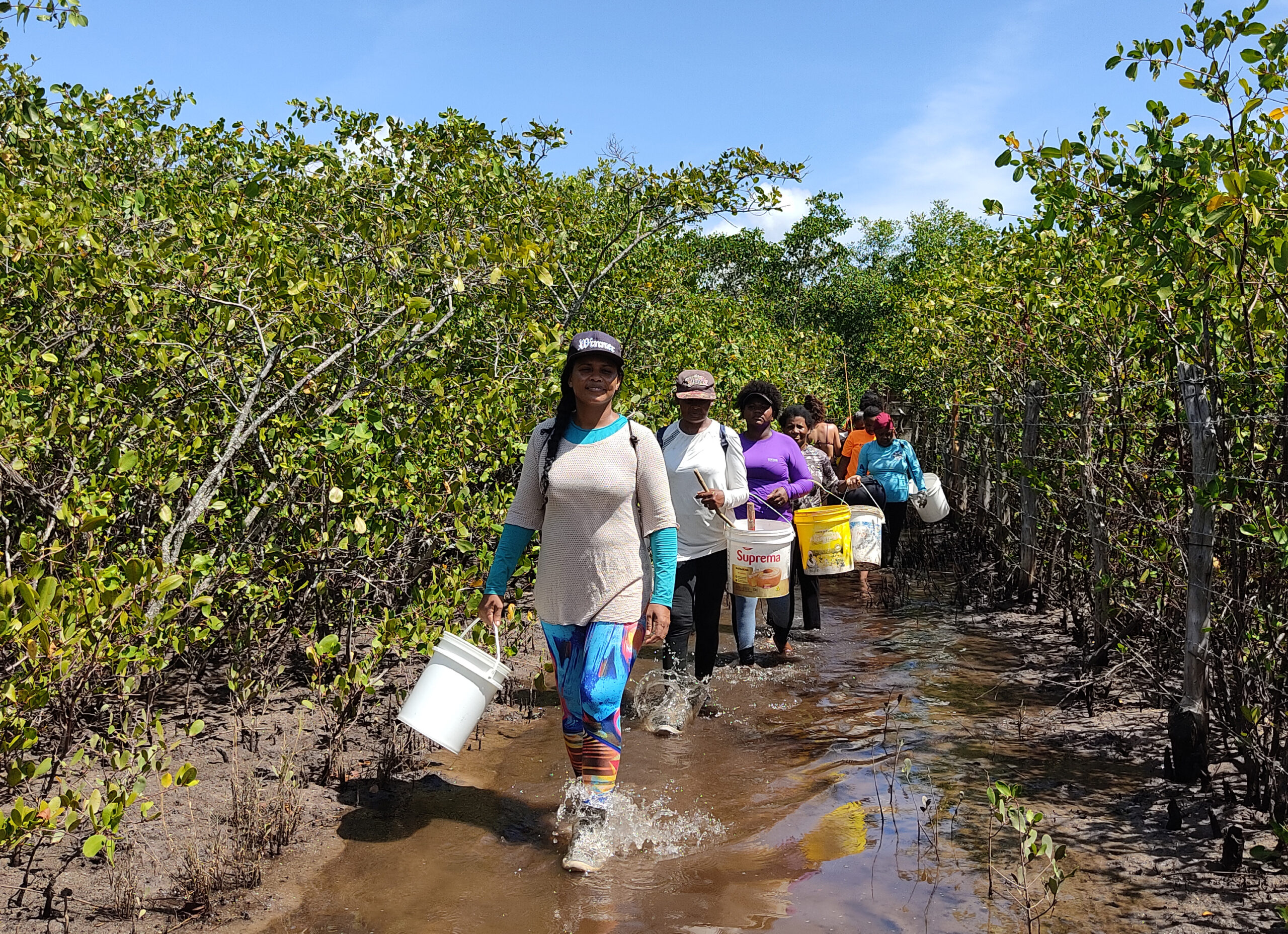 1668088371480 1 scaled